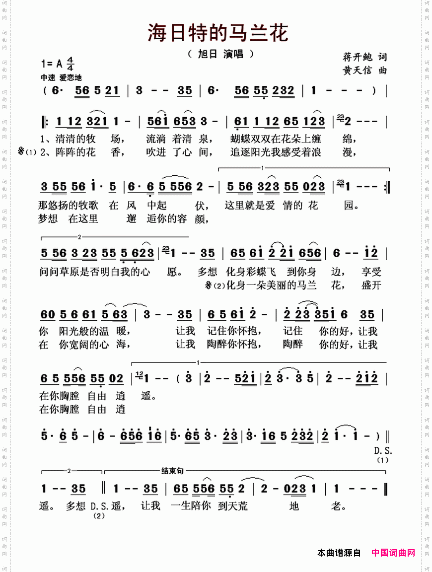 马兰花开简谱 云飞图片